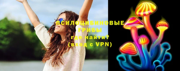 сатива Алексеевка