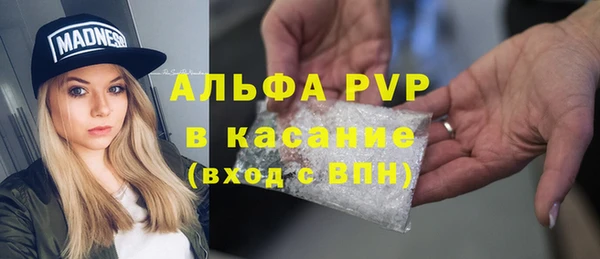 сатива Алексеевка