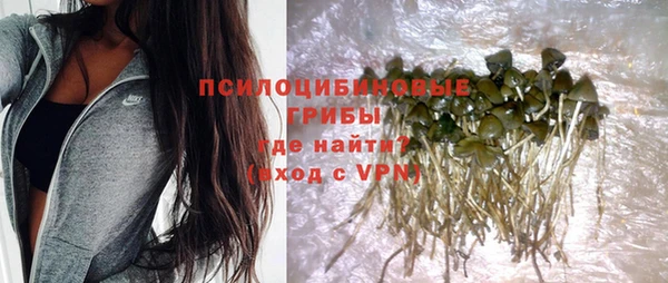сатива Алексеевка