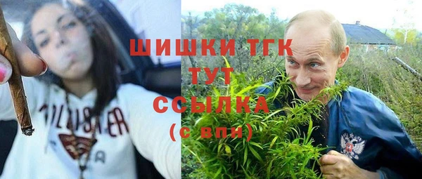 прущий лед Алексин