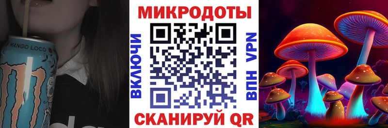 наркота  Сосновый Бор  Псилоцибиновые грибы Cubensis 